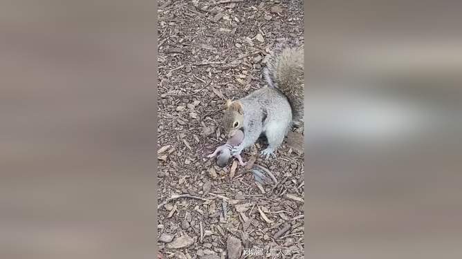 在线看片免费观看视频