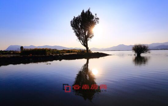 yandex吃瓜 吃瓜个性化推荐算法表现出色