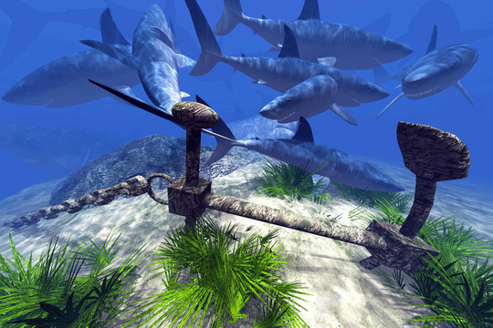 +小说在 线 观 看