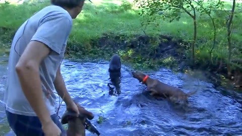 啄木鸟家庭医生 8k 啄木价格和覆盖城市