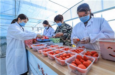 果冻传媒 免费观看 果冻观满足基础娱乐需求