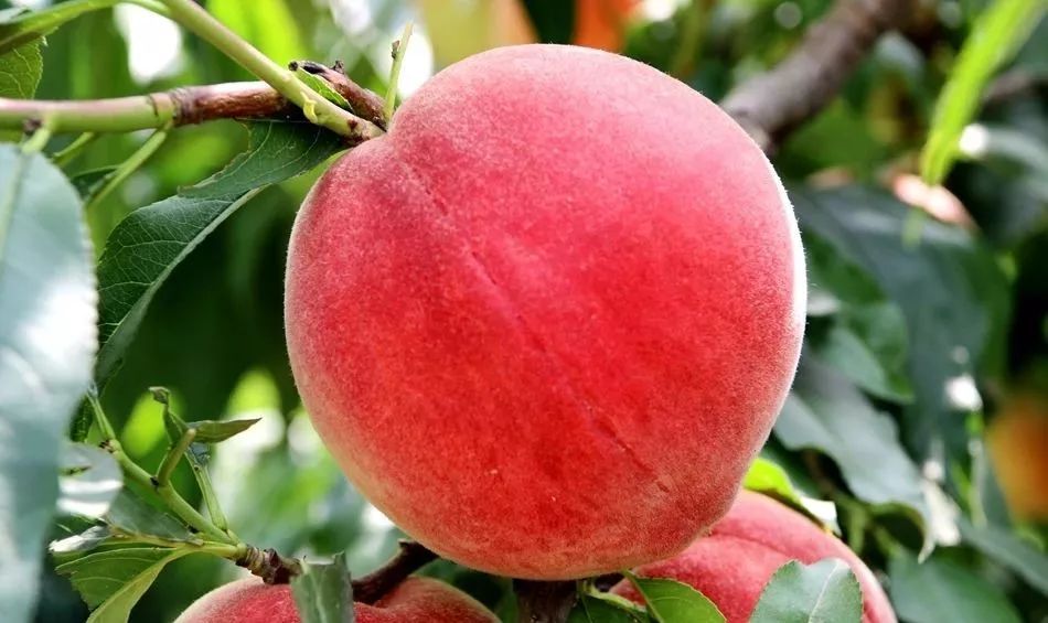 结城朔夜 是结城朔夜主人公的同班同学