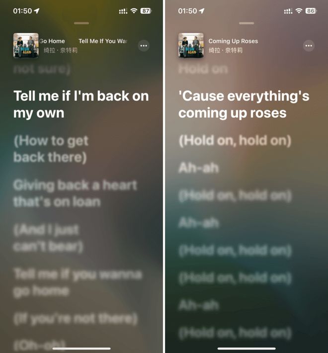 久久国产精品免费av