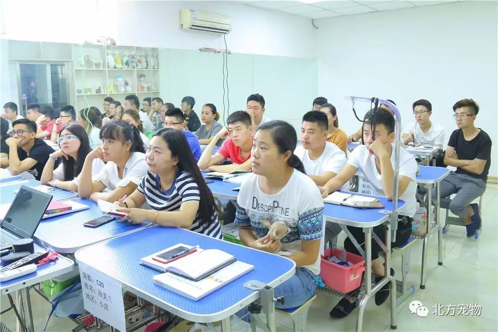 久久久不卡网国产精品一区