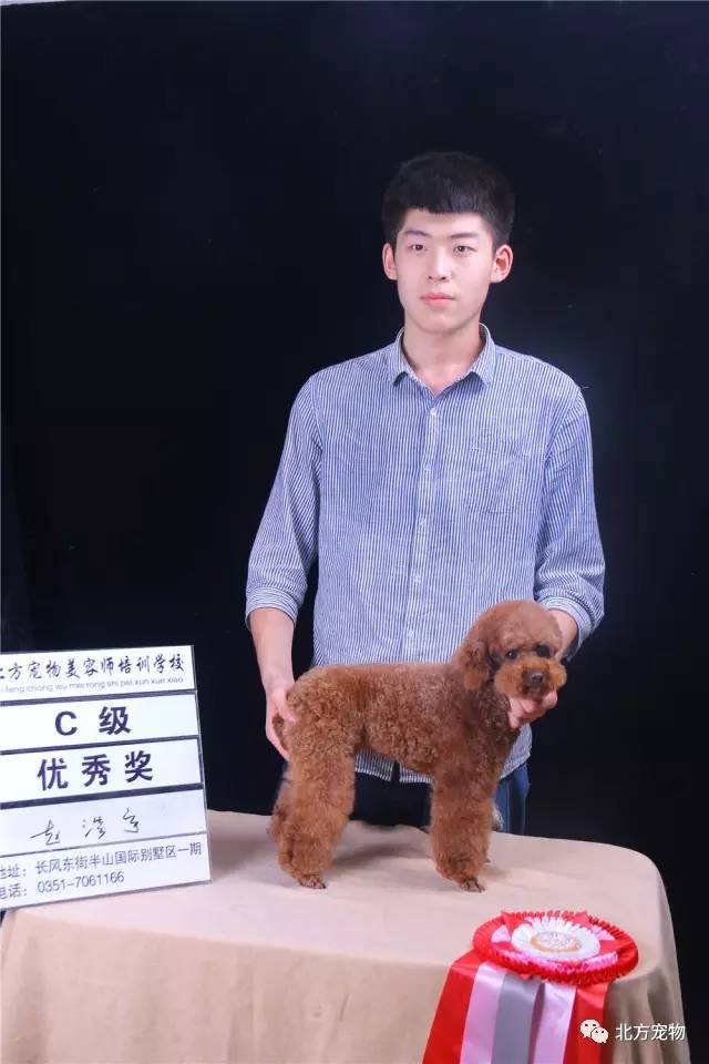 欢都影视 成立时间:大约在2018年左右