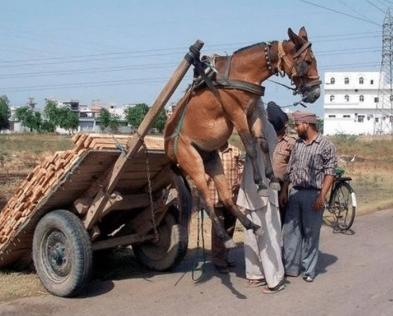 视频清纯 自然的视频清纯氛围和感受