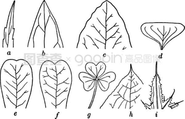 狂飙麻豆版 它可能显得浮夸浅显