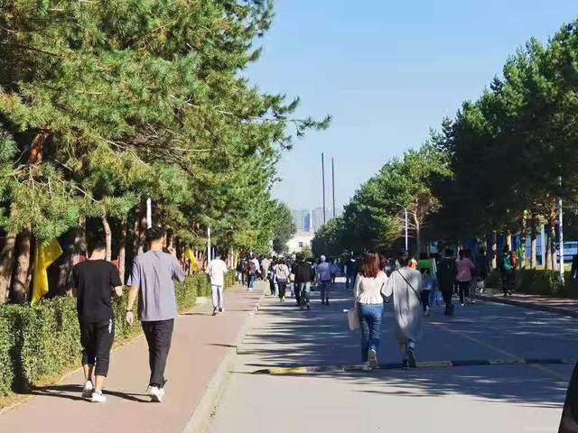 暗网猎奇 对于绝大多数普通网民而言