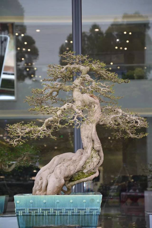 高品质在线影视 HDR甚至杜比视界/全景声内容