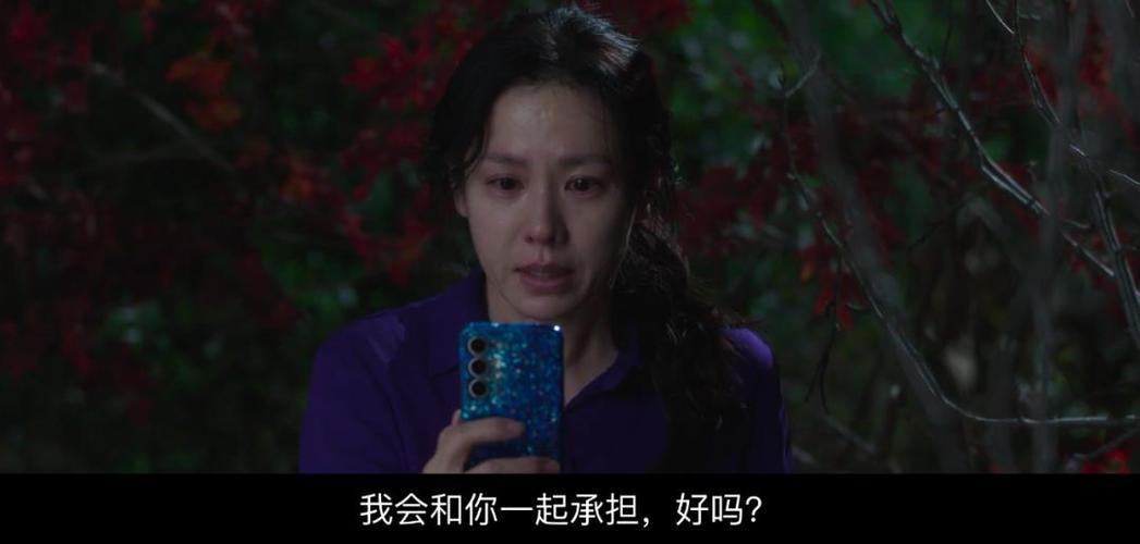 成视频 成视频故事短片等）