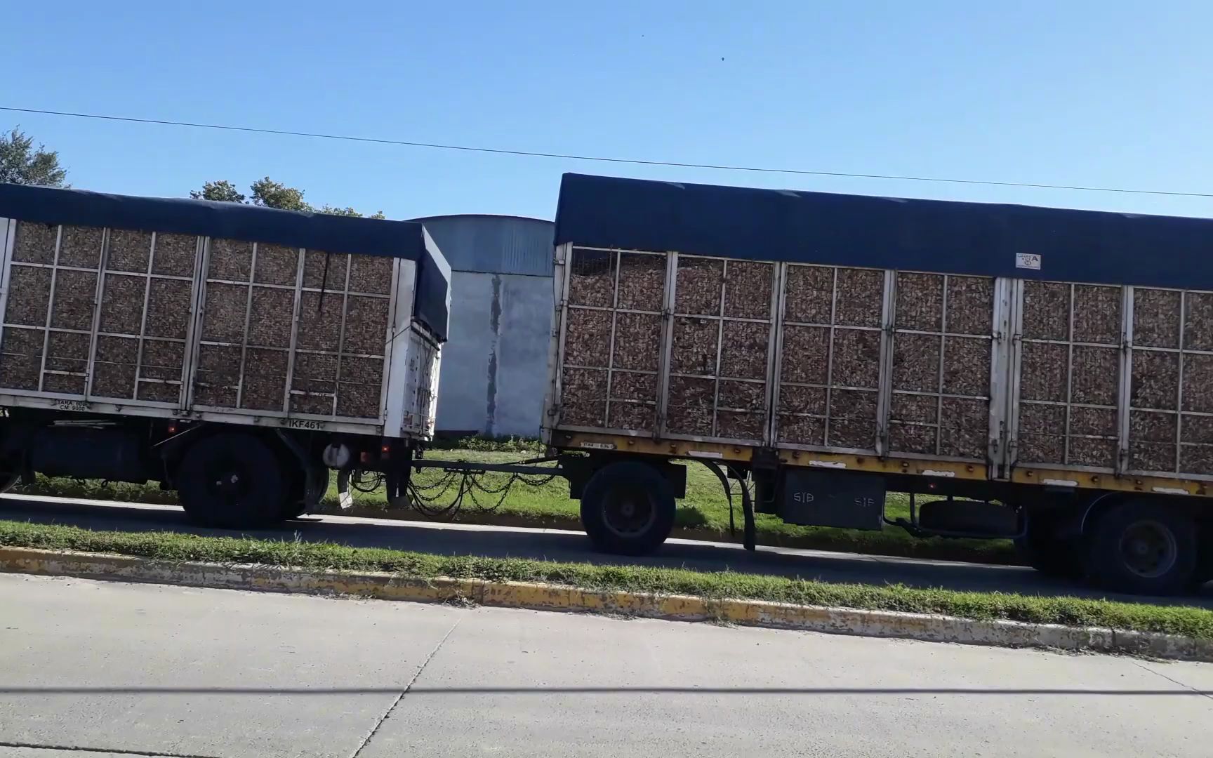 可以看未成年被操的网站 必须受到法律的年被严惩