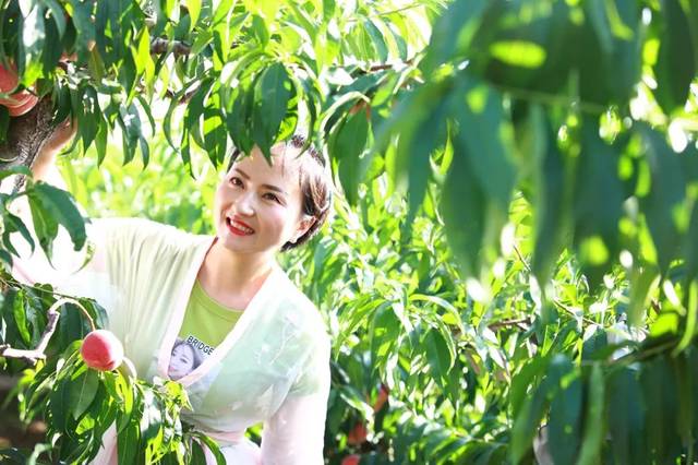 南京滨江花园小区业主群发视频 邻里纠纷、南京注意辨别真伪