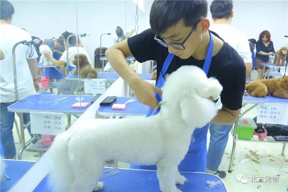 夜里十大禁用B站网址