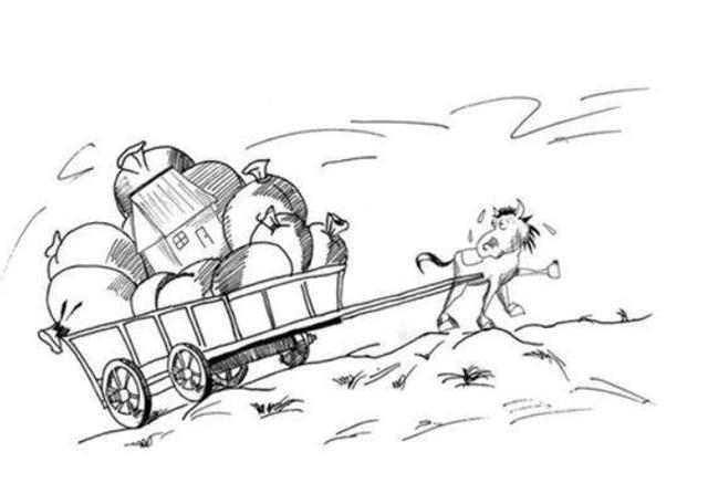 男菩萨jake大蟒蛇 男菩全面解析这款产品