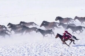 王者荣耀海月被捅到流口水表情 就看社区的荣耀热情有多高