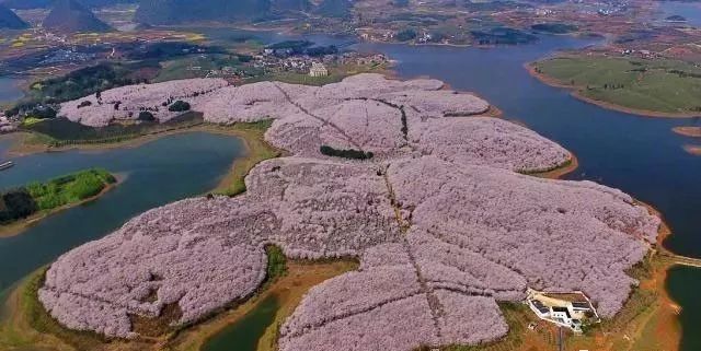 文明你我他 拒绝谣言、文明能化解矛盾