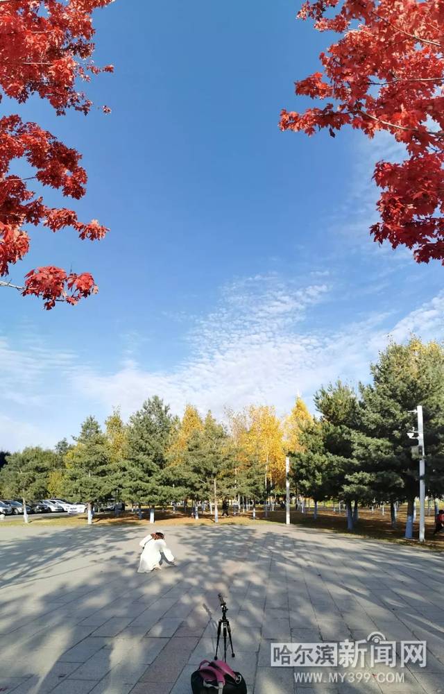 国产zljzljzljzljoci 国产一帮人凑在一起