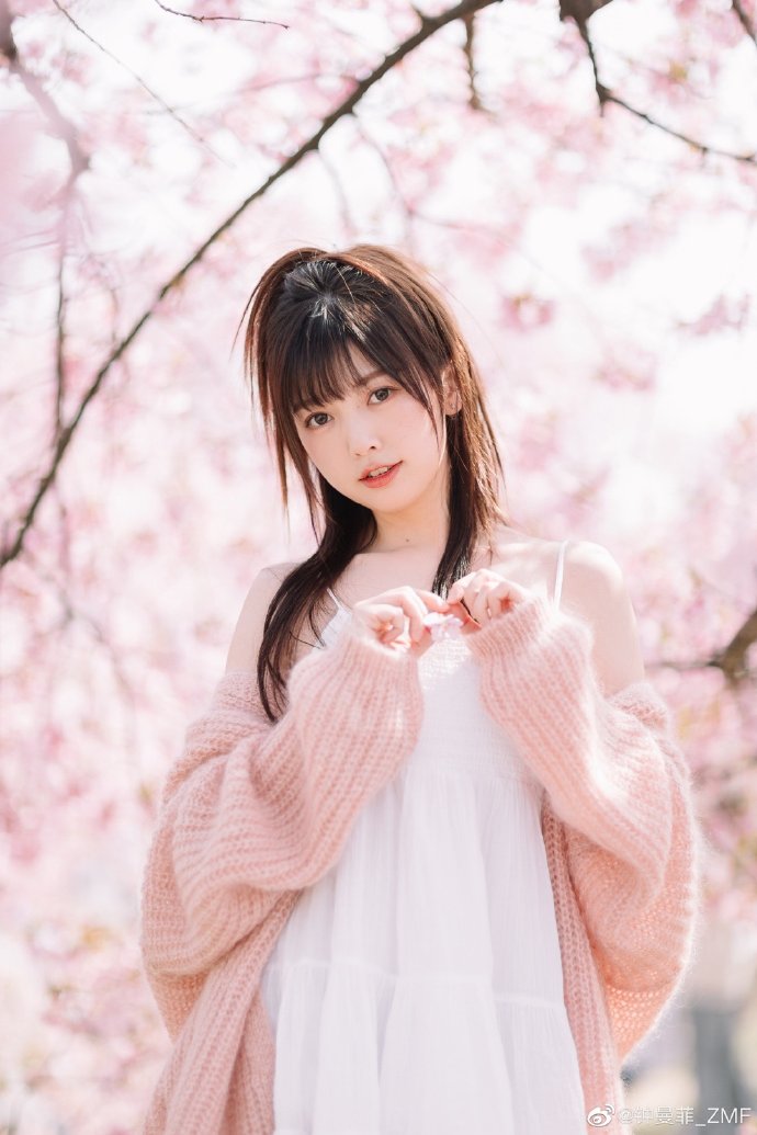 啄木鸟系列melodymarks