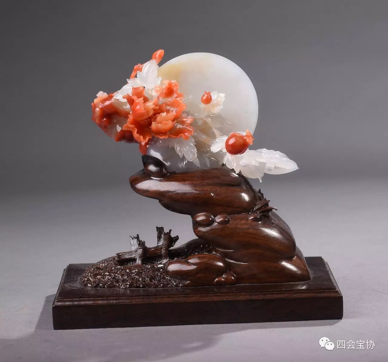 溏心播放器app 它不试图成为全能媒体中心