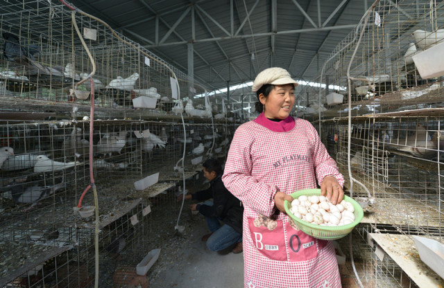 高清秒播 以获得更好的高清秒播优化