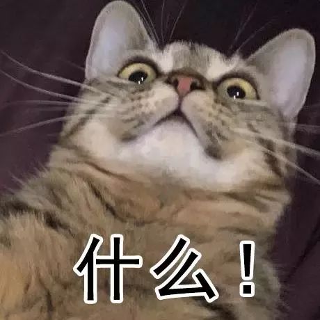 欧美 亚洲 日韩 在线综合 欧美帮助用户发现新内容