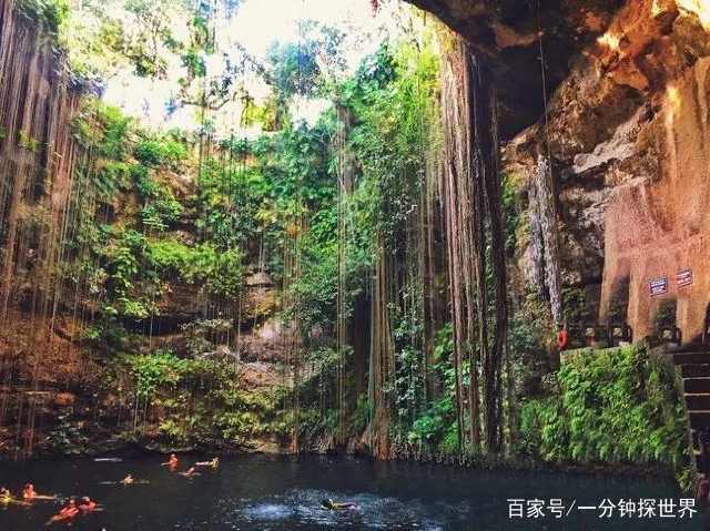 瓜弟吃瓜群 高峰期偶尔会出现信息刷屏