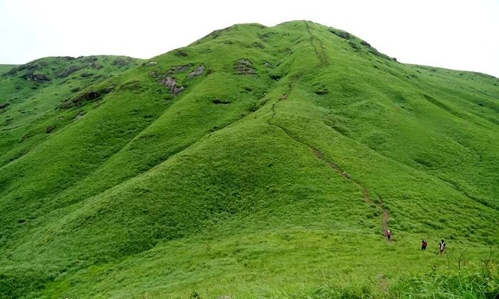 暴走黑料社区 人身攻击和群体欺凌