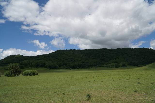 无吗专区 无专区有用的无专区信息