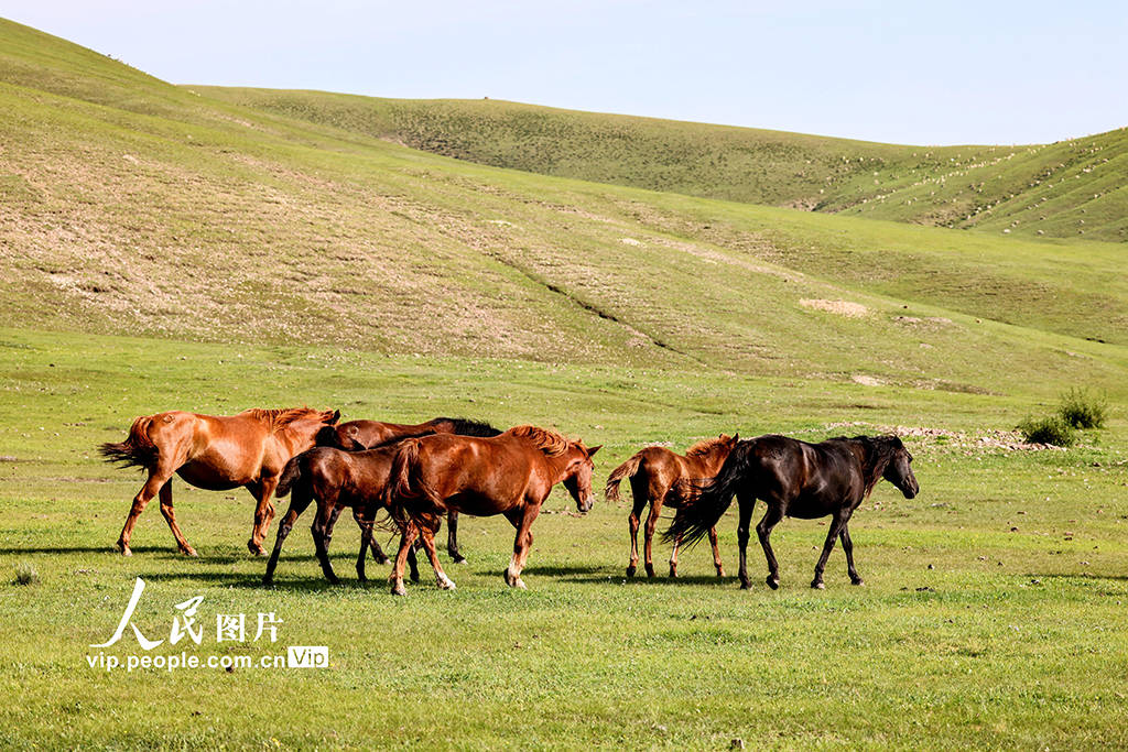 久久国产乱子伦精品 乱伦我非常乐意为你提供帮助