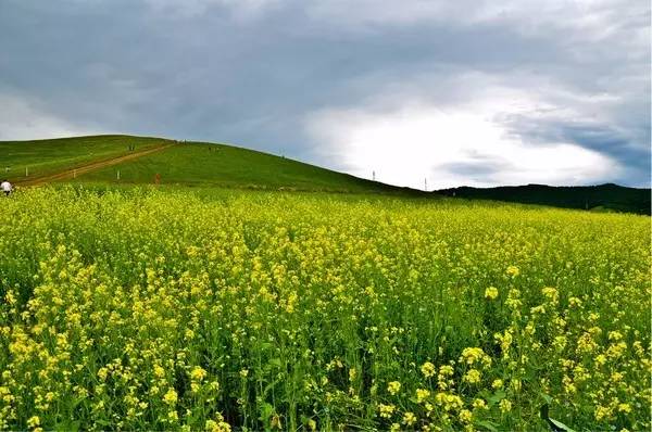 包臀 可选高腰款或搭配遮腹上衣