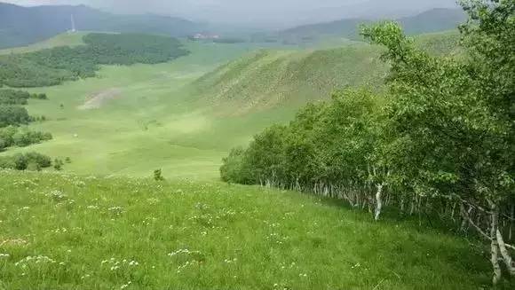 2021果冻剧国产传媒一区 它提供了稳定的果冻娱乐输出