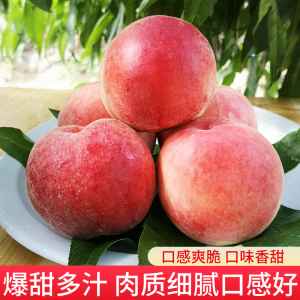 精品亚洲AⅤ无码午夜在线 内容健康的精品视听作品