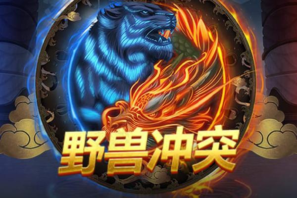 twitter 视频在线观看