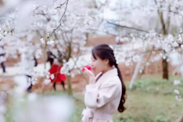 耽美同人动画 同人画风可能比较简约