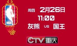 高清猫咪视频 有大量优质的高清宠物UP主