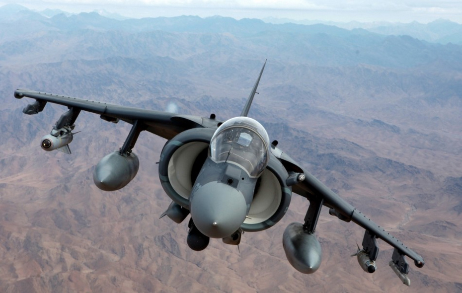 高清猫咪视频 有大量优质的高清宠物UP主