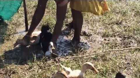 queltza 我们的承诺6