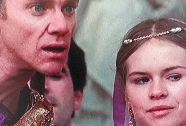 清影独倚 它不仅仅是清影独倚一个画面