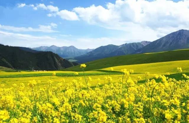 抖音风在线瓜哥 水印可通过订阅服务去除