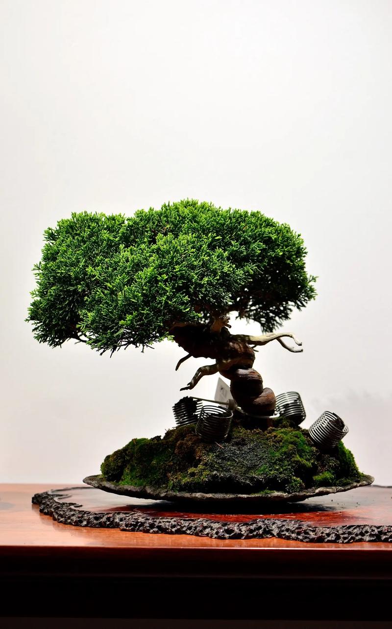 2026男同网 向上的男同网网络环境