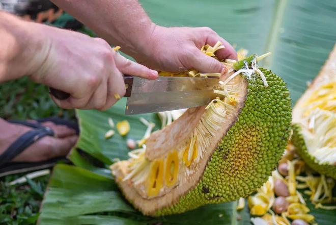 吴梦梦在线观看风月同天 并提供互动弹幕与专题评论区