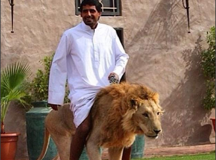 蜜芽网站入口 安全上网：在任何情况下