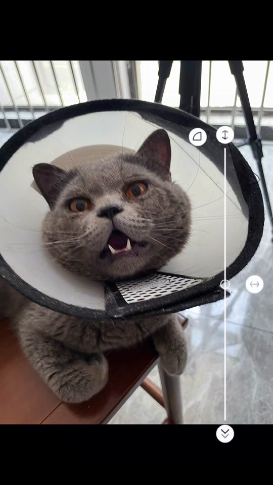 911吃瓜黑料在线观看 多媒体呈现：内容形式多样