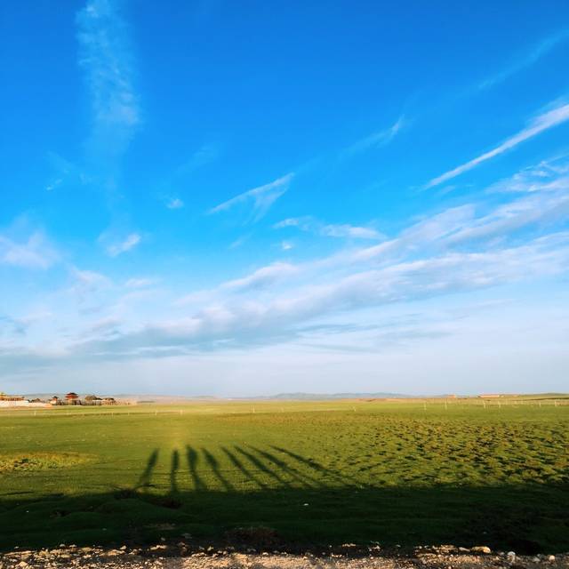 深夜综艺av 我可以为您提供更多信息