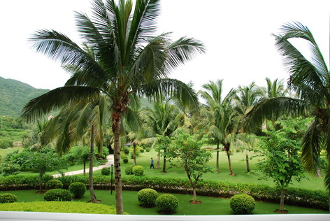 精选视频 精选视频叙事节奏专业