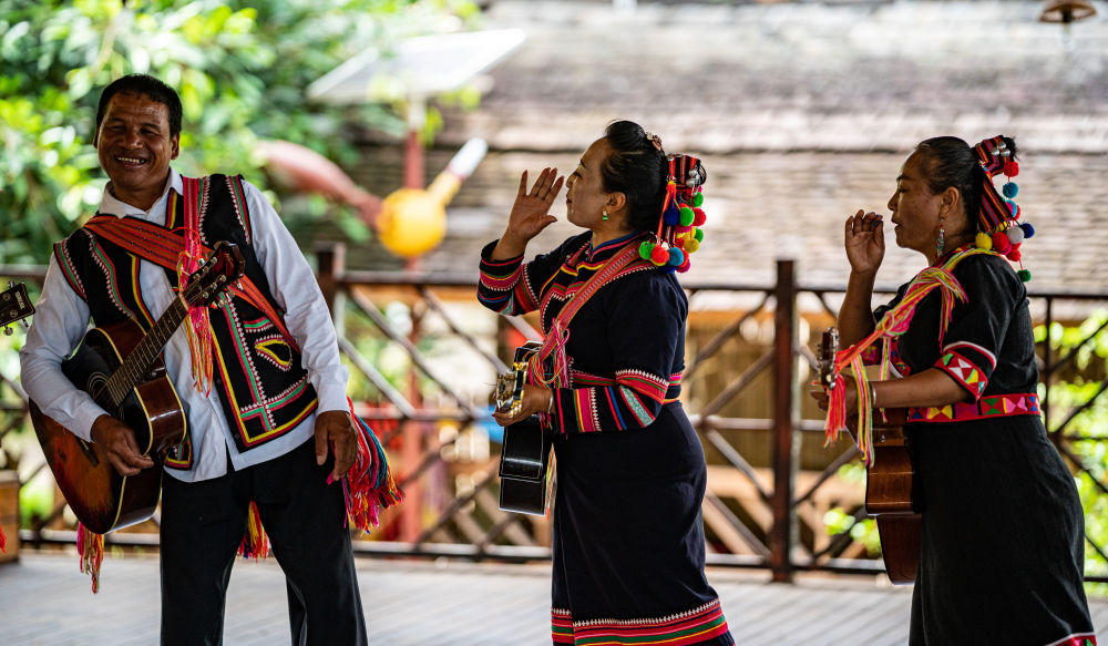 免费看片子网站无需会员