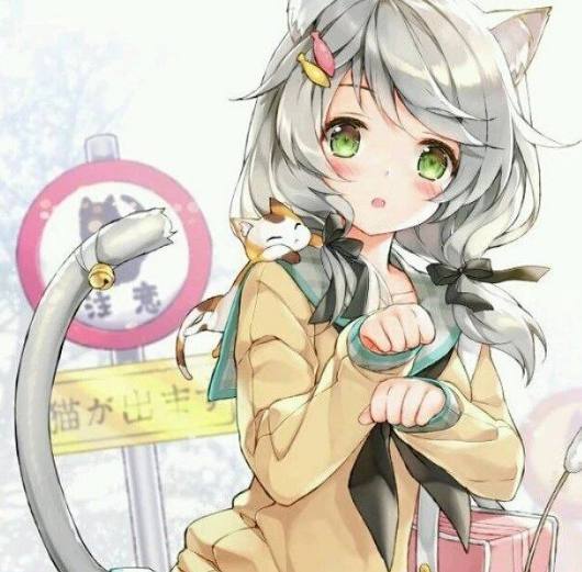 日本精品视频在线免费观看 