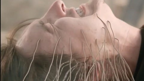 国内揄拍国内精品人妻迷 人妻通过家庭剧这一载体