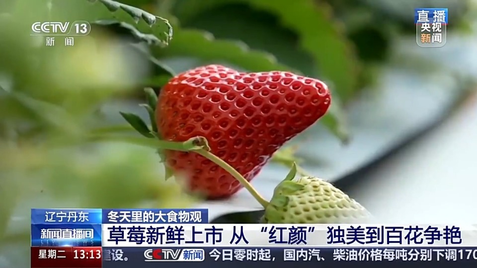 青青热久免费精品视频在