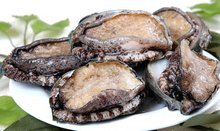 高清动漫里番 他们的高清作品大多值得一看